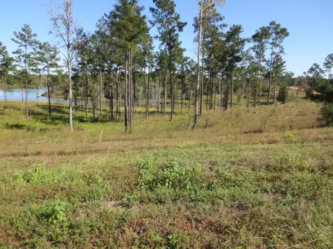 88 Joan Dr, Ellisville, MS 39437