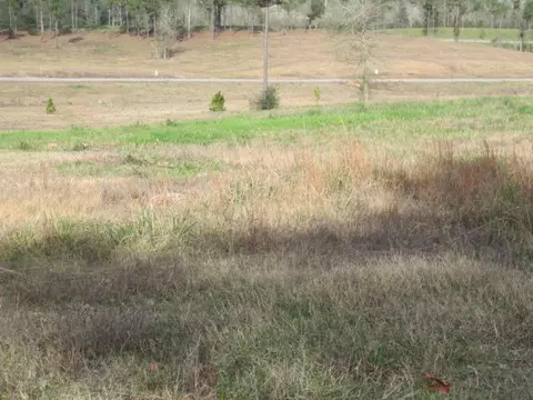 103 Joan Dr, Ellisville, MS 39437