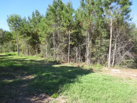 51 Joan Dr, Ellisville, MS 39437