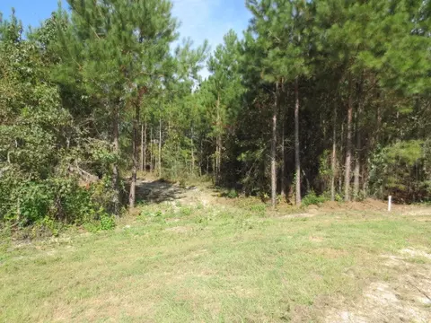 12 Alicia Dr, Ellisville, MS 39437