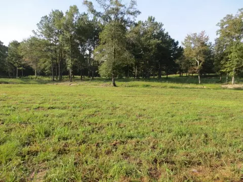 156 Joan Dr, Ellisville, MS 39437