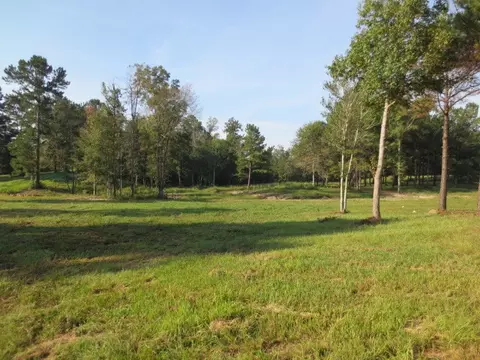 160 Joan Dr, Ellisville, MS 39437