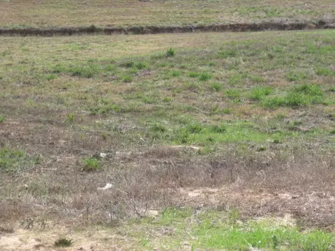 23 Josie Dr, Ellisville, MS 39437