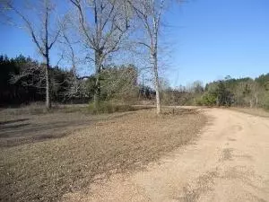 19 Braxton Rd, Purvis, MS 39475 photo 3