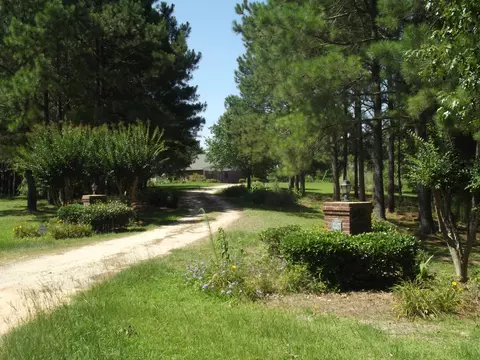 232 Cr 14, Paulding, MS 39348 photo 2