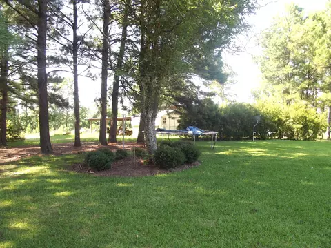 232 Cr 14, Paulding, MS 39348 photo 12