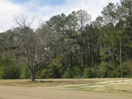 301 Ida St, Collins, MS 39428 photo 2