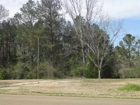 301 Ida St, Collins, MS 39428 photo 1