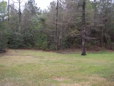 35 Davis Rd, Brooklyn, MS 39425 photo 19