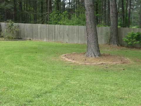 3 Southdown, Sumrall, MS 39482 photo 20