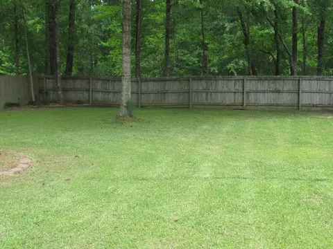 3 Southdown, Sumrall, MS 39482 photo 23