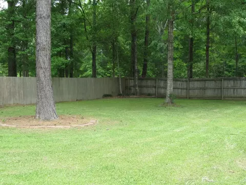 3 Southdown, Sumrall, MS 39482 photo 22