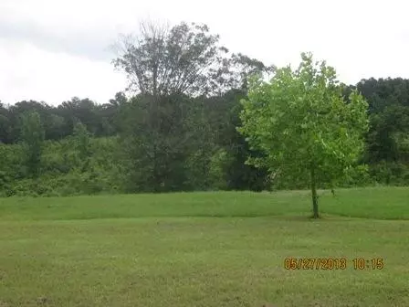 114 Layton Rd, Collins, MS 39428 photo 3