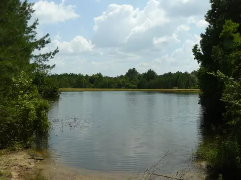 23 Ray Simmons Rd, Purvis, MS 39475 photo 25
