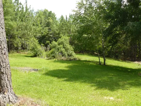 23 Ray Simmons Rd, Purvis, MS 39475 photo 23