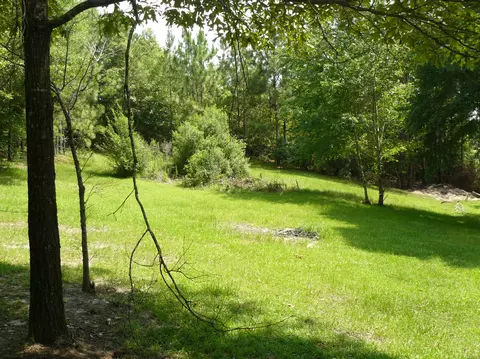 23 Ray Simmons Rd, Purvis, MS 39475 photo 22
