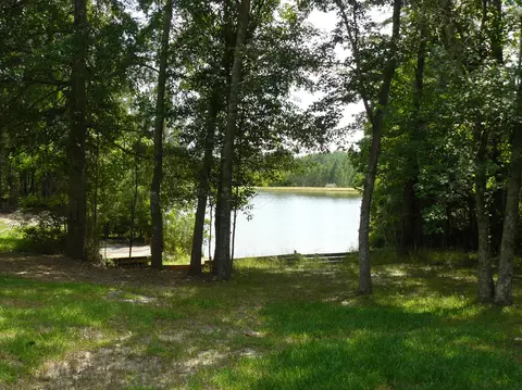 23 Ray Simmons Rd, Purvis, MS 39475 photo 24
