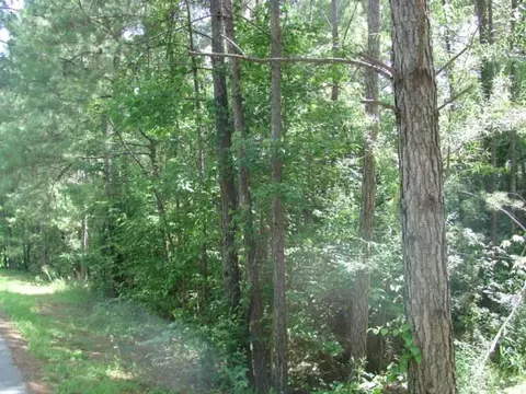 302 Bayberry Loop, Purvis, MS 39475 photo 7