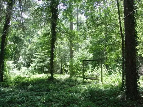 302 Bayberry Loop, Purvis, MS 39475 photo 10