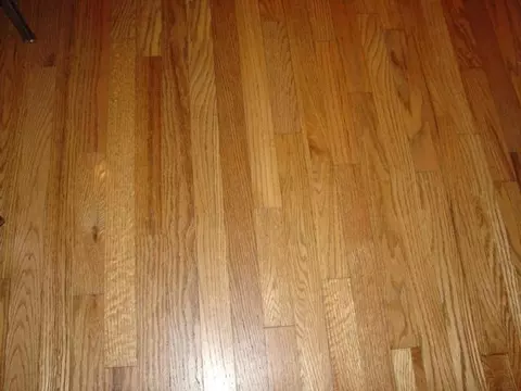 302 Bayberry Loop, Purvis, MS 39475 photo 23