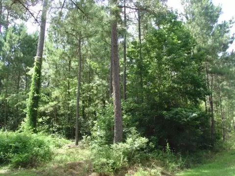 302 Bayberry Loop, Purvis, MS 39475 photo 8