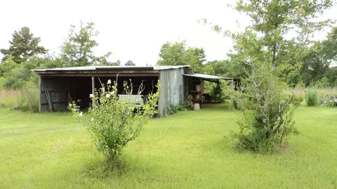 38 Hinton Ave, Petal, MS 39465 photo 15