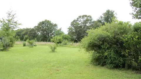 38 Hinton Ave, Petal, MS 39465 photo 11
