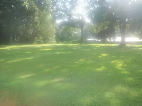 85 Powe Rd, Purvis, MS 39475 photo 33