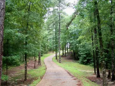 889 Oloh Rd, Sumrall, MS 39482 photo 56