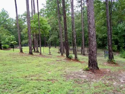 889 Oloh Rd, Sumrall, MS 39482 photo 75