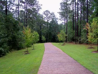 889 Oloh Rd, Sumrall, MS 39482 photo 55