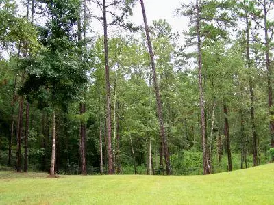 889 Oloh Rd, Sumrall, MS 39482 photo 70