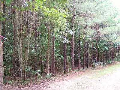 214 Loop Rd, Bassfield, MS 39421 photo 22