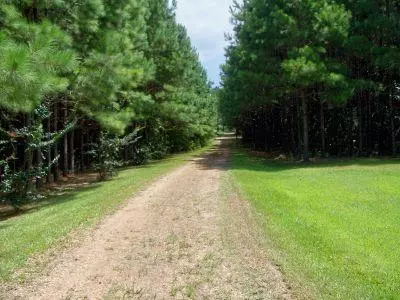 214 Loop Rd, Bassfield, MS 39421 photo 24