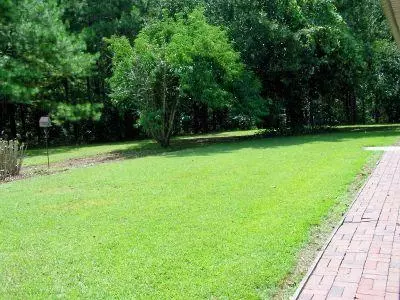 214 Loop Rd, Bassfield, MS 39421 photo 25