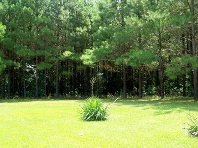 214 Loop Rd, Bassfield, MS 39421 photo 19