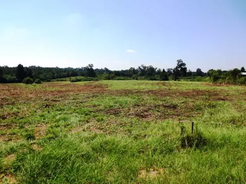 14 Bailey Trl, Laurel, MS 39443 photo 1