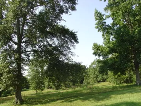983 Hwy 29, Wiggins, MS 39577 photo 12