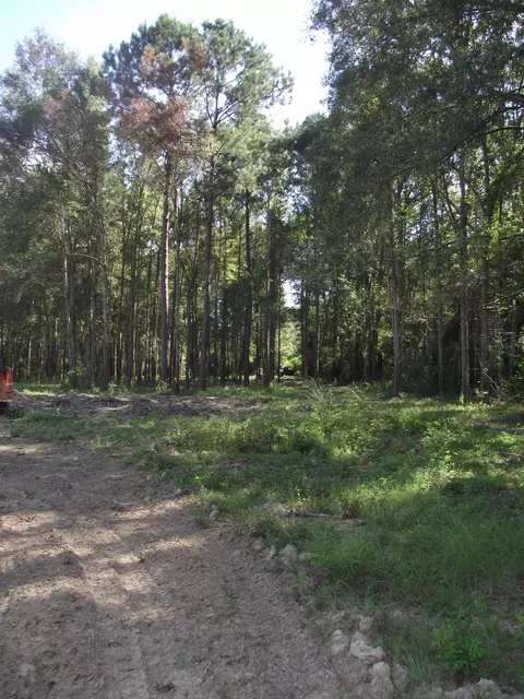 570 Munn Rd, Sumrall, MS 39482 photo 39