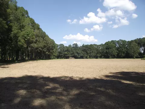 570 Munn Rd, Sumrall, MS 39482 photo 34