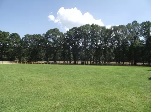570 Munn Rd, Sumrall, MS 39482 photo 33