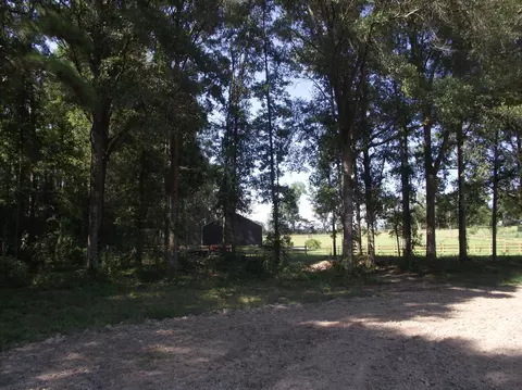 570 Munn Rd, Sumrall, MS 39482 photo 7