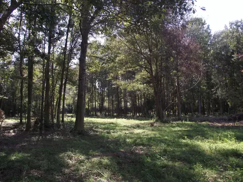 570 Munn Rd, Sumrall, MS 39482 photo 38