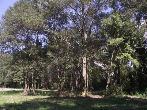 570 Munn Rd, Sumrall, MS 39482 photo 37