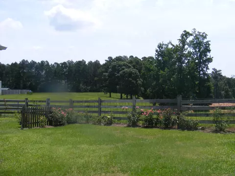 53 Raybourn Rd, Sumrall, MS 39482 photo 54