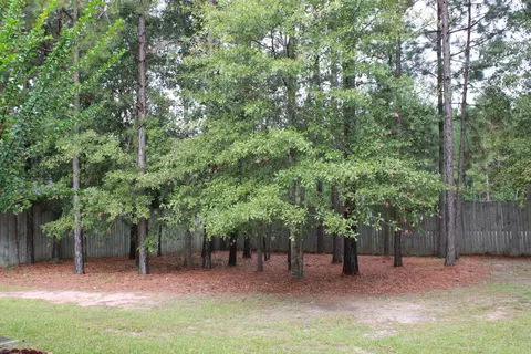 6 Timber Rdg, Purvis, MS 39475 photo 16