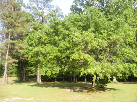 45 Old Salt Rd, Sumrall, MS 39482 photo 2