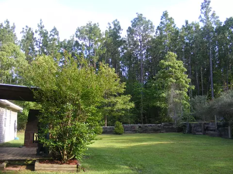 45 Old Salt Rd, Sumrall, MS 39482 photo 6