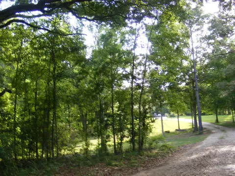 45 Old Salt Rd, Sumrall, MS 39482 photo 7