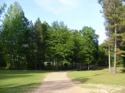 45 Old Salt Rd, Sumrall, MS 39482 photo 3